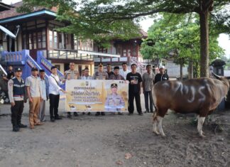 Implementasi Program Presisi, Distribusi Hewan Kurban Polda Sumsel Sentuh Pelosok Desa