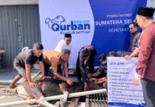 BRI Region 4 Palembang Distribusikan 45 Hewan Kurban Daerah Sumsel, Jambi dan Kepulauan Bangka