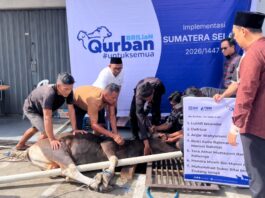 BRI Region 4 Palembang Distribusikan 45 Hewan Kurban Daerah Sumsel, Jambi dan Kepulauan Bangka