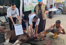 BAZNAS Sumsel Sembelih Hewan Kurban Titipan BAZNAS RI dan Densus 88, Wujud Nyata Kepedulian untuk Sesama