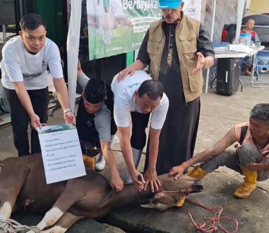BAZNAS Sumsel Sembelih Hewan Kurban Titipan BAZNAS RI dan Densus 88, Wujud Nyata Kepedulian untuk Sesama