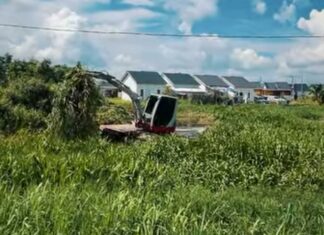 Camat Sematang Borang Nur Muhammad Arpan Imbau Warga Waspada Buaya di Sungai Sematang