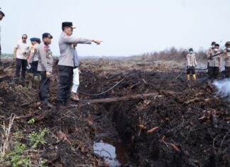 Kapolda Sumsel Tinjau Langsung Penanganan Karhutla di OKI, Pastikan Upaya Pemadaman Berjalan Optimal